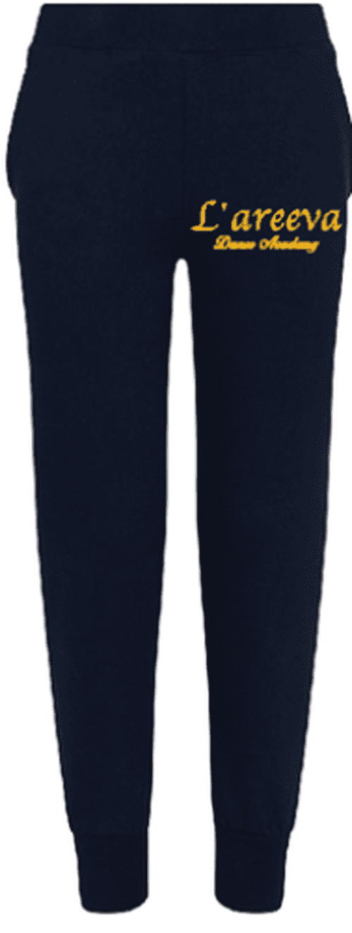 Academy sales jogger pants