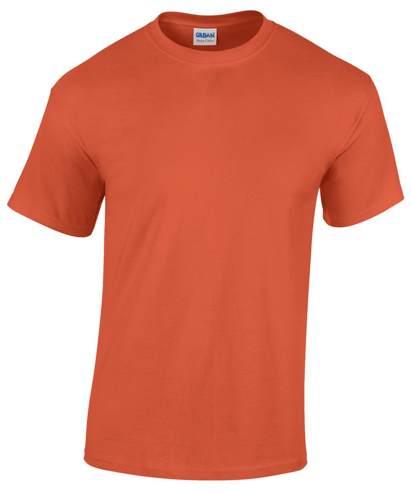 Heavy Cotton™ adult t-shirt