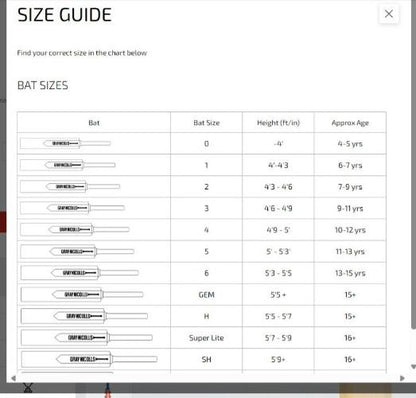 GN Shockwave Thunder Cricket Bat - Junior Sizes